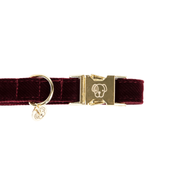 Hondenhalsband Corduroy Kentucky Hondenhalsband Corduroy Kentucky