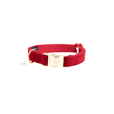 Hondenhalsband Corduroy Kentucky Rood