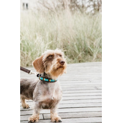 Halsband voor honden van handgemaakte parels Kentucky Lichtblauw