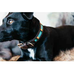 Halsband voor honden van handgemaakte parels Kentucky Lichtblauw