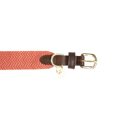 Halsband voor honden Jacquard Kentucky Terracotta Oranje