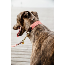 Halsband voor honden Jacquard Kentucky Terracotta Oranje