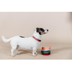 Halsband voor honden Jacquard Kentucky Terracotta Oranje