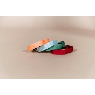 Halsband voor honden Jacquard Kentucky Halsband voor honden Jacquard Kentucky