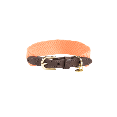 Halsband voor honden Jacquard Kentucky Neon oranje