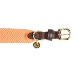 Halsband voor honden Jacquard Kentucky Neon oranje