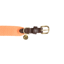Halsband voor honden Jacquard Kentucky Neon oranje