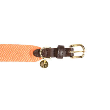 Halsband voor honden Jacquard Kentucky Neon oranje