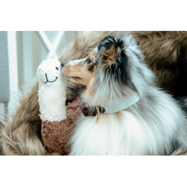 Halsband voor honden Jacquard Kentucky Lichtblauw