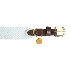Halsband voor honden Jacquard Kentucky Lichtblauw