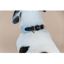 Halsband voor honden Jacquard Kentucky Lichtblauw