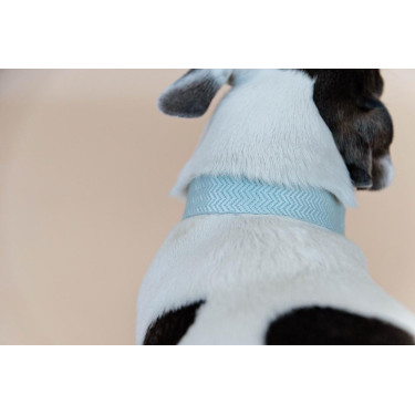 Halsband voor honden Jacquard Kentucky Lichtblauw