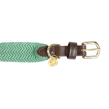 Halsband voor honden Jacquard Kentucky Olijfgroen Halsband voor honden Jacquard Kentucky Olijfgroen