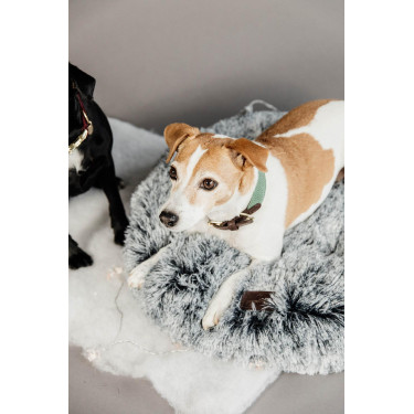 Halsband voor honden Jacquard Kentucky Olijfgroen Halsband voor honden Jacquard Kentucky Olijfgroen