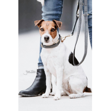 Hondenhalsband Pied-de-poule Kentucky Zwart