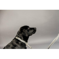 Hondenhalsband Pied-de-poule Kentucky Zwart Hondenhalsband Pied-de-poule Kentucky Zwart