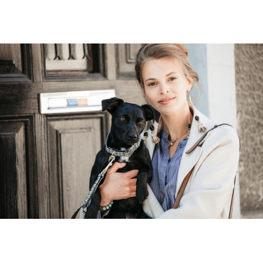 Hondenhalsband Pied-de-poule Kentucky Bruin Hondenhalsband Pied-de-poule Kentucky Bruin