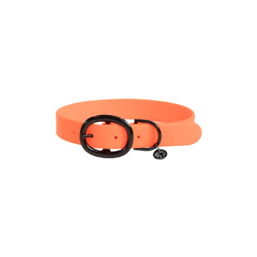 Halsband voor honden Soft Rubber Kentucky Halsband voor honden Soft Rubber Kentucky