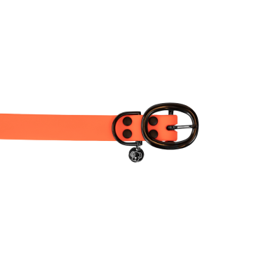 Halsband voor honden Soft Rubber Kentucky Halsband voor honden Soft Rubber Kentucky