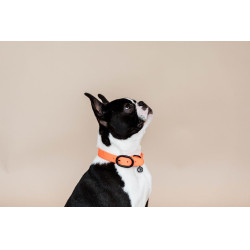 Halsband voor honden Soft Rubber Kentucky Neon oranje