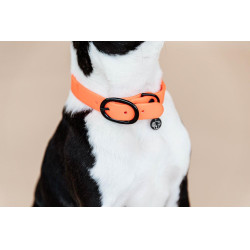 Halsband voor honden Soft Rubber Kentucky Neon oranje
