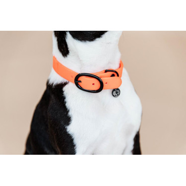Halsband voor honden Soft Rubber Kentucky Halsband voor honden Soft Rubber Kentucky