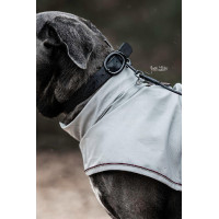 Halsband voor honden Soft Rubber Kentucky Zwart