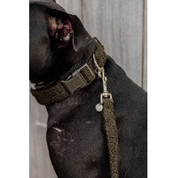 Halsband voor honden Teddy Fleece Kentucky Donkergroen