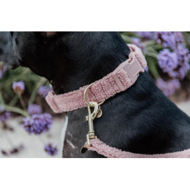Halsband voor honden Teddy Fleece Kentucky Oudroze Halsband voor honden Teddy Fleece Kentucky Oudroze