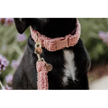 Halsband voor honden Teddy Fleece Kentucky Oudroze Halsband voor honden Teddy Fleece Kentucky Oudroze