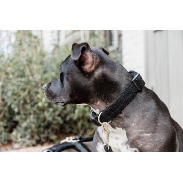 Halsband voor honden Teddy Fleece Kentucky Zwart