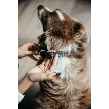 Halsband voor hond Driehoek Kentucky Halsband voor hond Driehoek Kentucky
