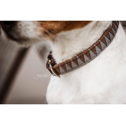 Halsband voor hond Driehoek Kentucky Halsband voor hond Driehoek Kentucky