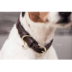 Halsband voor hond Driehoek Kentucky Halsband voor hond Driehoek Kentucky