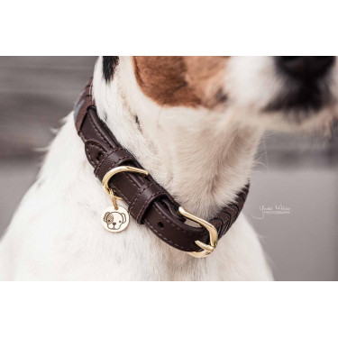Halsband voor hond Driehoek Kentucky Halsband voor hond Driehoek Kentucky
