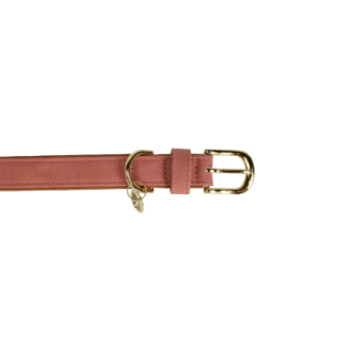 Halsband voor hond Vegan Leather Kentucky Halsband voor hond Vegan Leather Kentucky