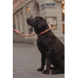 Halsband voor hond Vegan Leather Kentucky Perzik Roze