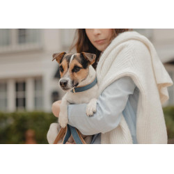 Halsband voor hond Vegan Leather Kentucky Marine Marineblauw Halsband voor hond Vegan Leather Kentucky Marine Marineblauw