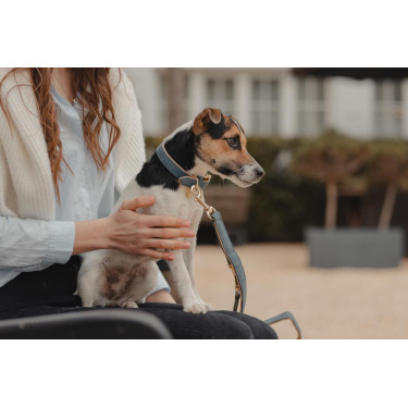 Halsband voor hond Vegan Leather Kentucky Marine Marineblauw Halsband voor hond Vegan Leather Kentucky Marine Marineblauw