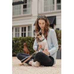 Halsband voor hond Vegan Leather Kentucky Marine Marineblauw Halsband voor hond Vegan Leather Kentucky Marine Marineblauw