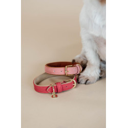Halsband voor hond Vegan Leather Kentucky Rood