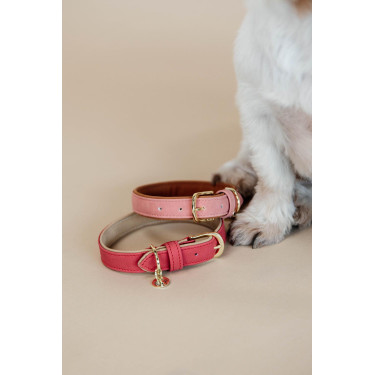 Halsband voor hond Vegan Leather Kentucky Rood