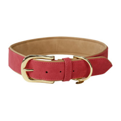 Halsband voor hond Vegan Leather Kentucky Rood