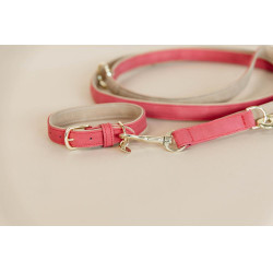 Halsband voor hond Vegan Leather Kentucky Rood