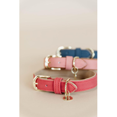 Halsband voor hond Vegan Leather Kentucky Rood