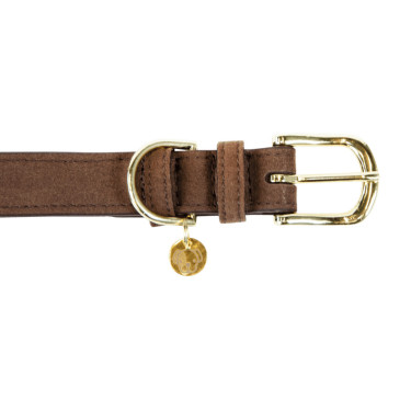 Halsband voor hond Velvet Leather Kentucky Bruin Halsband voor hond Velvet Leather Kentucky Bruin