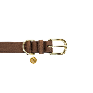 Halsband voor hond Velvet Leather Kentucky Halsband voor hond Velvet Leather Kentucky