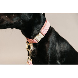 Hondenhalsband Wool Kentucky Lichtroze