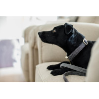 Hondenhalsband Wool Kentucky Lichtroze Hondenhalsband Wool Kentucky Lichtroze