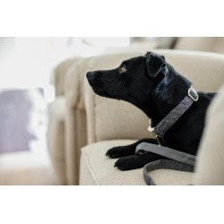 Hondenhalsband Wool Kentucky Grijs Hondenhalsband Wool Kentucky Grijs